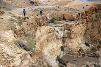 IMG 4453 - עותק (Large) (Medium).JPG