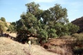 תמונה ממוזערת לגרסה מתאריך 16:19, 13 בנובמבר 2021