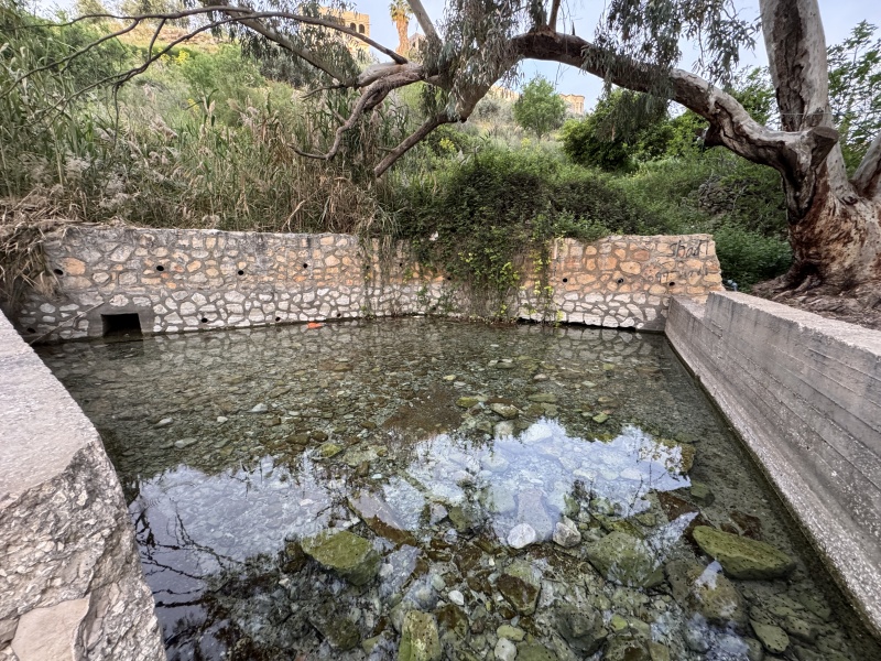 קובץ:IMG 4836.JPG