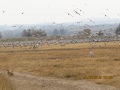 תמונה ממוזערת לגרסה מתאריך 09:52, 19 בדצמבר 2015