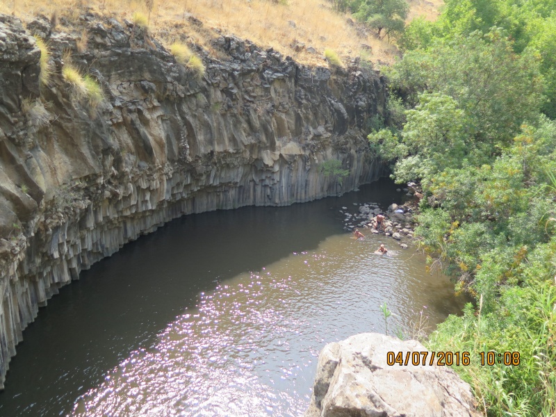 קובץ:IMG 5597.JPG