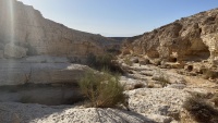 IMG 8017.jpg