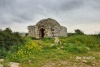 Kever-hasheih.jpg