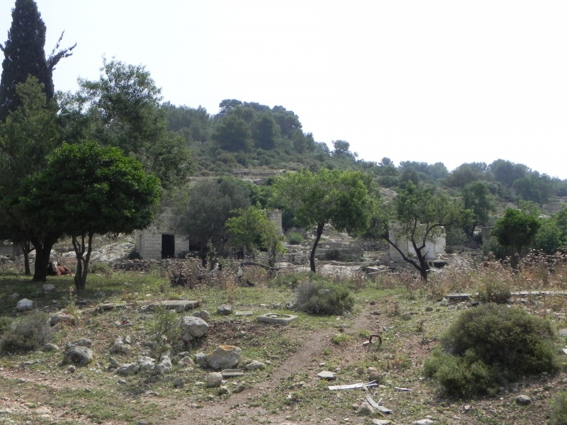 קובץ:OldVillage1.JPG