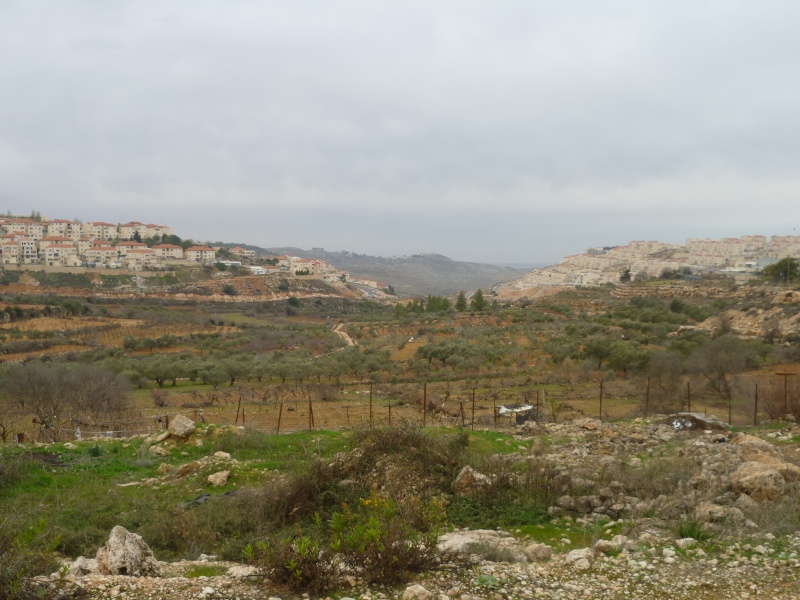 קובץ:P1000924.JPG