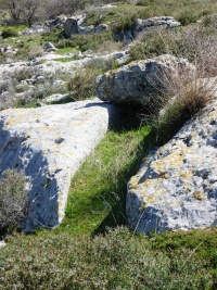 P1000959 מוצא המנהרה של אמתה ערוב בגבעת הדגן (Custom).JPG
