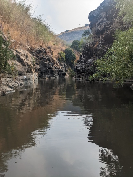 קובץ:PXL 20220805 055525537.jpg