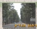 תמונה ממוזערת לגרסה מתאריך 18:41, 29 במרץ 2014