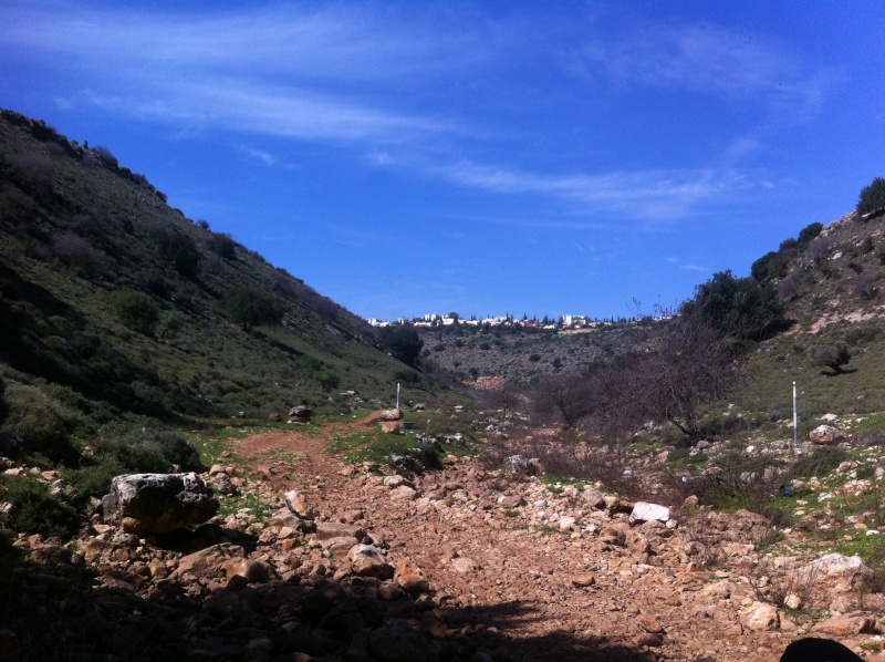 קובץ:Photo 01-03-14, 13 23 40.jpg