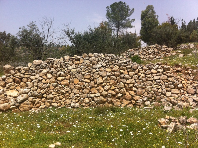 קובץ:Photo 2 (1).JPG