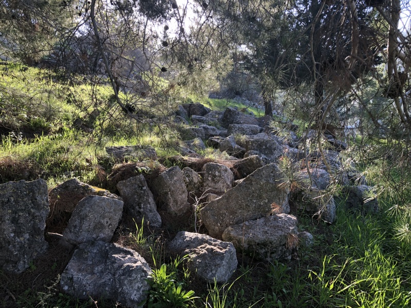 קובץ:Ras abu amar wall.jpeg