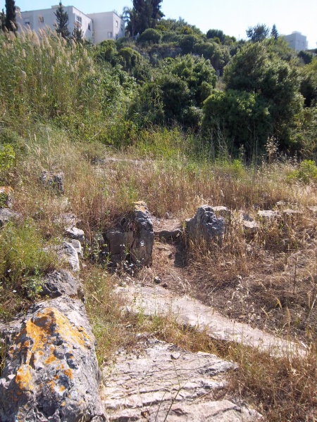 קובץ:Remains 1.JPG