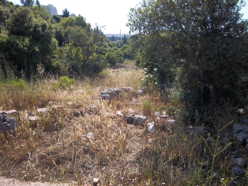 קובץ:Remains 2.JPG