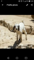 תמונה ממוזערת לגרסה מתאריך 10:05, 30 במאי 2017