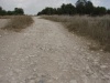 Soling road - from Kfar Ben-Non to Tel Gezer 6.jpg