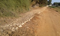 Soling road near Hadera East Train Station 2 (Large).jpg