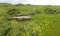 The train station foundation near Tel A-Sheria 1.jpg