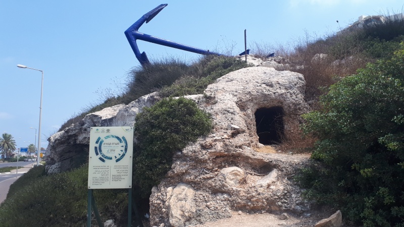 קובץ:Tia5610018380496753451.jpg