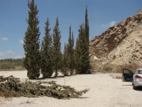Train Terminal near Shoham 4 (Large).jpg