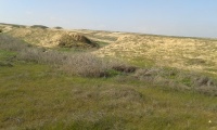 Train from Ofakim to Sde Teiman - small bridge 2.jpg