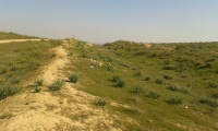 Train from Ofakim to Sde Teiman 2.jpg