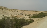 Turkish train from Sorek to Kusseima - section between Ezuz to Kusseima - Embankment 1.jpg