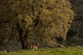 תמונה ממוזערת לגרסה מתאריך 06:25, 26 ביולי 2011