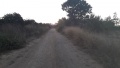 תמונה ממוזערת לגרסה מתאריך 12:31, 13 באוקטובר 2020