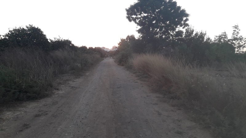 קובץ:WhatsApp Image 2020-10-13 at 13.08.37 (3).jpeg