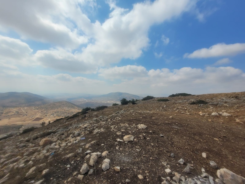 קובץ:WhatsApp Image 2025-08-16 at 15.47.00.jpeg