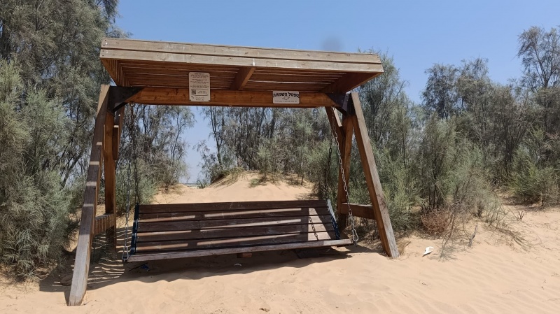 קובץ:WhatsApp Image 2026-08-14 at 19.39.23.jpeg