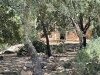 YC002.JPG