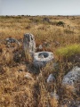 תמונה ממוזערת לגרסה מתאריך 19:09, 11 במאי 2021