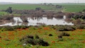 תמונה ממוזערת לגרסה מתאריך 15:20, 4 בפברואר 2014