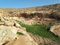 תמונה ממוזערת לגרסה מתאריך 20:16, 15 בינואר 2018