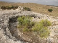 תמונה ממוזערת לגרסה מתאריך 05:47, 2 בספטמבר 2013