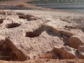 תמונה ממוזערת לגרסה מתאריך 20:36, 2 ביולי 2024